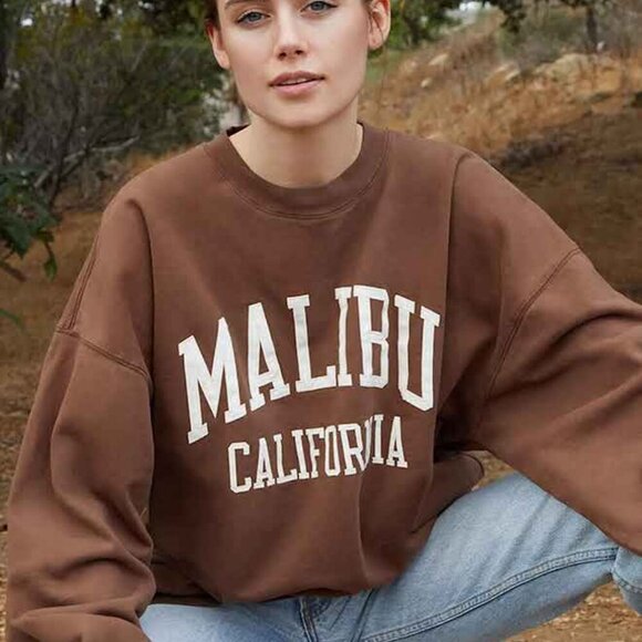 John Galt Women's Erica Malibu Crew Neck Sweatshirt In Brown Oversized Pullover - Picture 1 of 7
